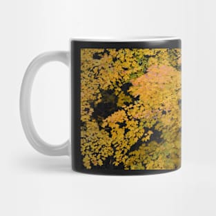 Autumn Golden Maple Mug